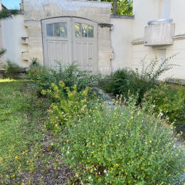 A VENDRE appartement T4 REIMS CENTRE