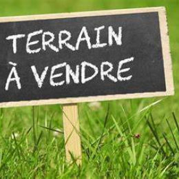 Rare, à vendre grande parcelle à bâtir dans le secteur de Villers En Tardenois.