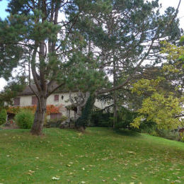 A VENDRE BELLE PROPRIETE SUR UNE PARCELLE EXCEPTIONNELLE AU SUD DE REIMS