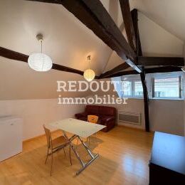 CENTRE VILLE : APPARTEMENT T1 BIS