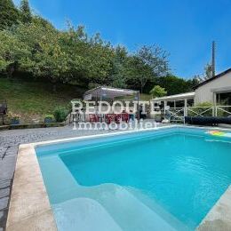 VERZENAY - MAISON AVEC PISCINE, GARAGE ET APPARTEMENT