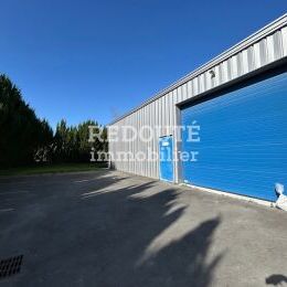 A LOUER LOCAL D'ACTIVITE environ 375m2 GUEUX