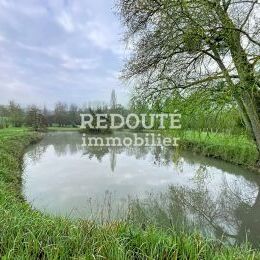 Grand terrain de loisir avec �tang et bois - Serzy et Prin