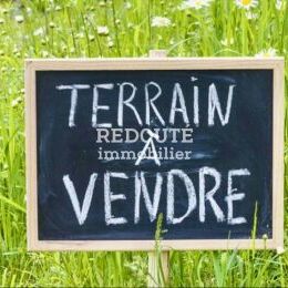 � VENDRE- TERRAIN CONSTRUCTIBLE - 1567 M2- BEAUMONT S/VESLE