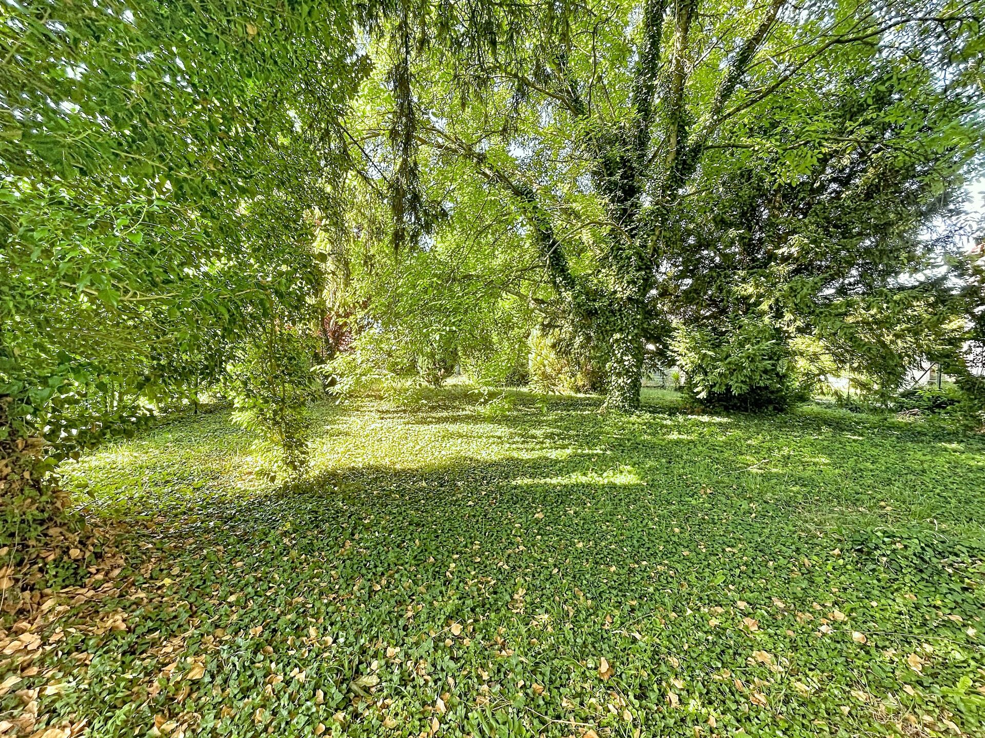 Image de maison � vendre