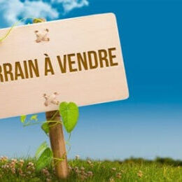 A 30min de Reims - A vendre - Terrain à bâtir d'une superficie de 1000m²