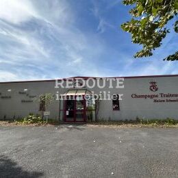 � VENDRE - LOCAL D'ACTIVIT� � TAISSY FORT POTENTIEL