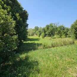 A vendre Terrain avec Jolie maisonnette à Fléville (08)